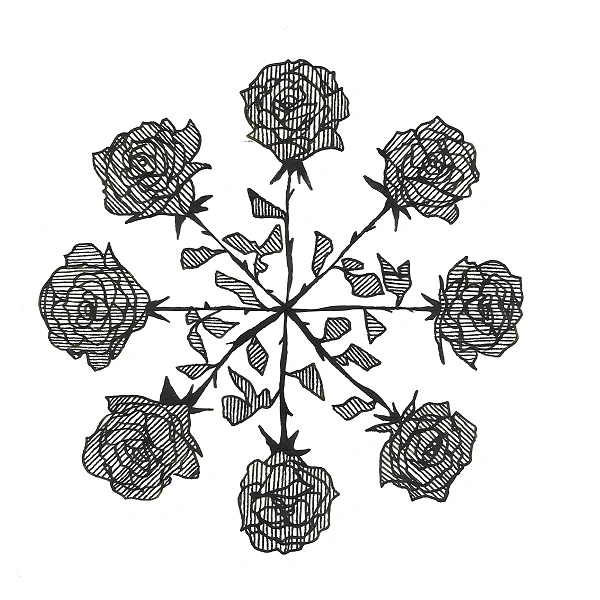Roses symétriques